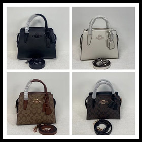 Coach classic mini handbag-4663